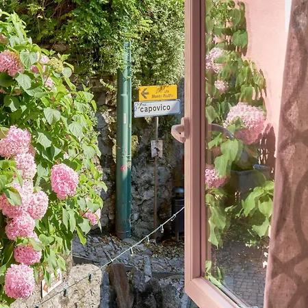 Timeless Charm - A Window To *